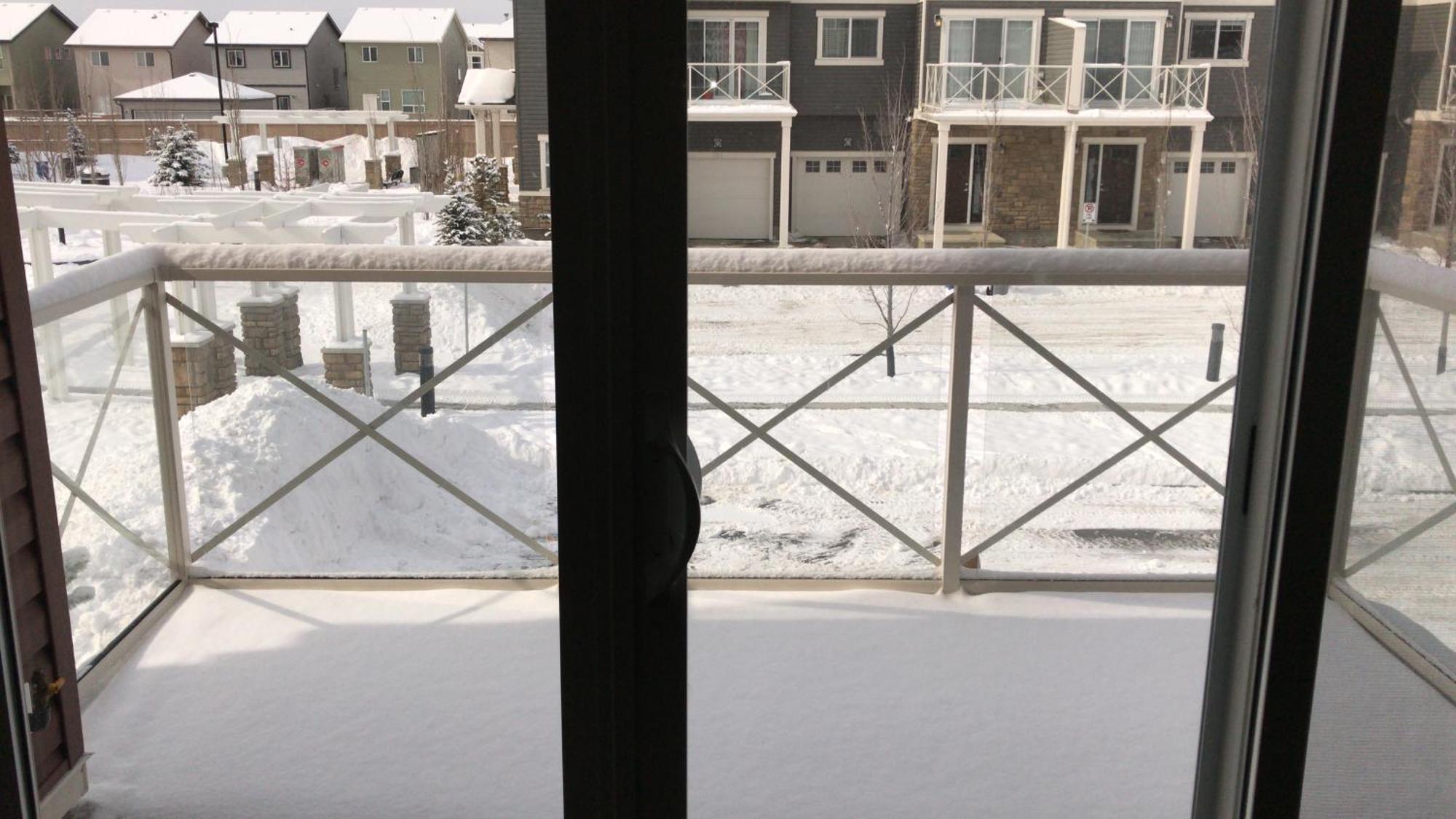 Home Stay! Calgary Exterior photo